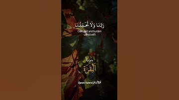 شيخ:#عبدالباسط_عبدالصمد 💚🌿 #اذكر_الله #قرآن #اكسبلور #تلاوة_خاشعة #مصر #explore #quran #egypt
