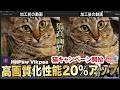 【HitPaw】AIの動画高画質化が20%向上!自慢の猫でプレゼントがもらえるキャンペーン開始!【VikPea】【ビデオエンハンサー】