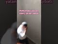 Məhkəmədə üzəduran o şərəfsizi xanımlar açımadan itin gününə saldılar