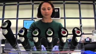 Penn State Homecoming 2015 Theme Reveal