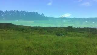 Rare Hamakua Acreage