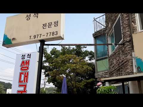 성석생대구탕 전문점 일산 파주 맛집
