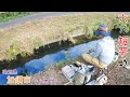6尺短竿での〇〇は面白いー! 埼玉県 加須市で小物釣り。