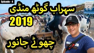 COW MANDI SOHRAB GOTH 2019 KARACHI | Episode – 4 | Video in URDU/HINDI