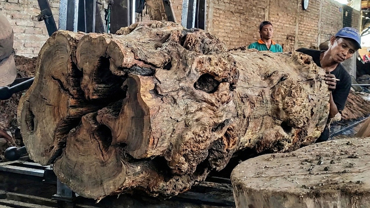 How a Modern Sawmill Cuts Massive Logs with Extreme Precision - YouTube