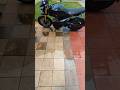 Anthem wash day PSA! #electricmotorcycle #bikelife #ryvid