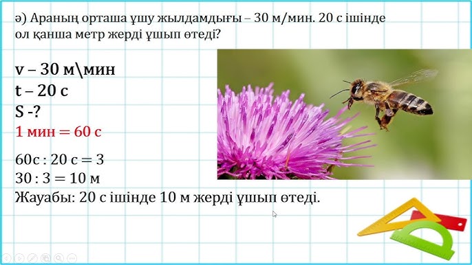 Порно: Бір қыздың пистасында ашытқы бар. Үйде жасалған интимдік фотосуреттерді қараңыз