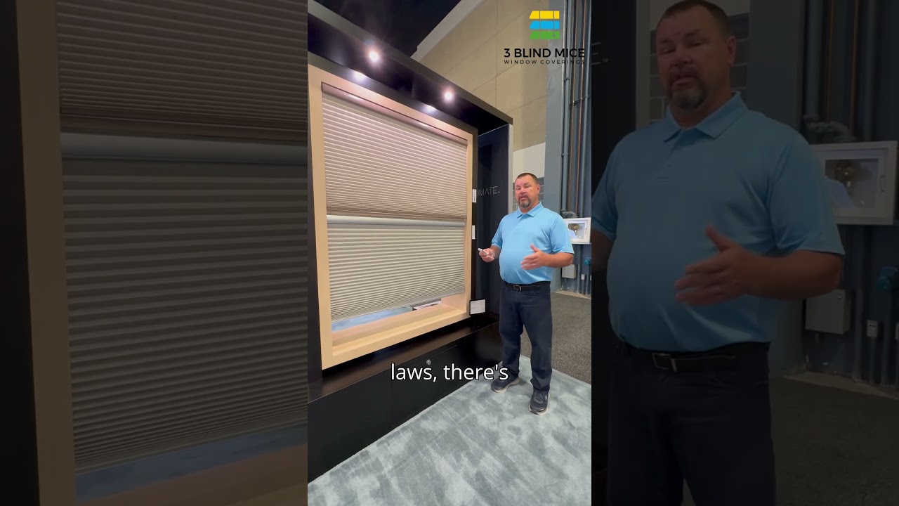 Top Down Bottom Up Motorized Shade | Rollease Innovation by 3 Blind Mice Window Coverings