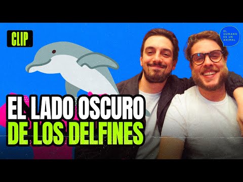 La VERDAD sobre los DELFINES ¿El animal más inteligente? Jóse Rafael Guzmán y Nacho Redondo