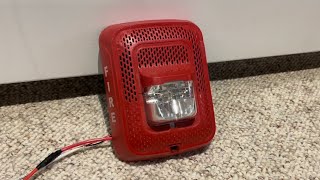 Fun with New Fire Alarm Speaker/Strobes
