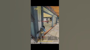 He is Very Busy at Scanning The Dog Tag