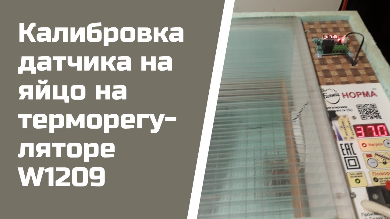 Датчик на яйцо