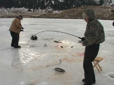 Chris' Trout At Holter Lake Montana 11th Episode J...