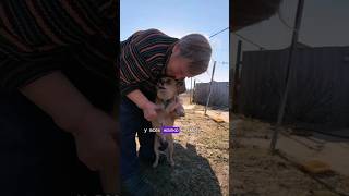 Бабушке 81 год и ее животным  нужна наша помощь!