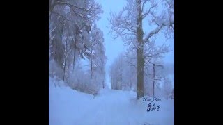 Amid The Falling Snow - Enya