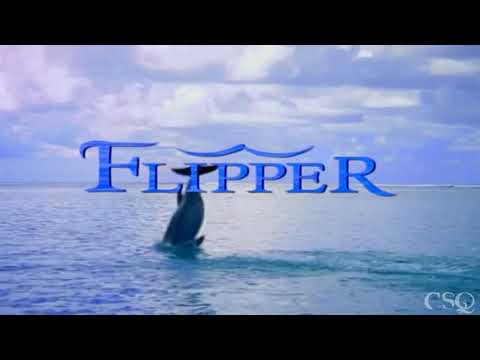 FLIPPER DİZİSİ JENERİĞİ