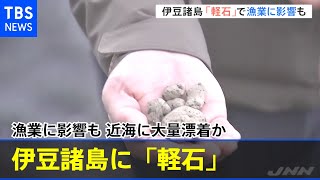 伊豆諸島「軽石」で漁業に影響も 近海に大量漂着か