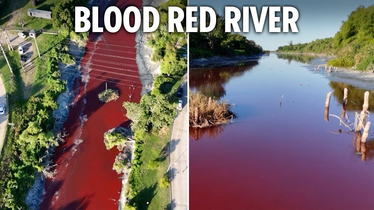 Turning Rivers Signs From The LORD We Are in The ENDTIMES!📖 Two major Rivers turn ...