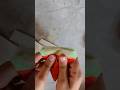 𝘞𝘢𝘵𝘦𝘳𝘮𝘦𝘢𝘭𝘰𝘯 𝘣𝘭𝘪𝘯𝘥 𝘣𝘢𝘨🍉