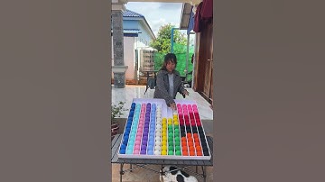 Tube Trouble! Can You Unmix the Mixed Up Balls and Bring Order to the Rainbow, Get Ready for a Mind