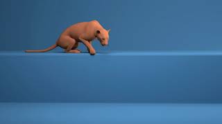 Quadruped Animation - Tiger Jumps