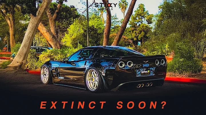 C6 Corvette: The Last Great American Supercar!