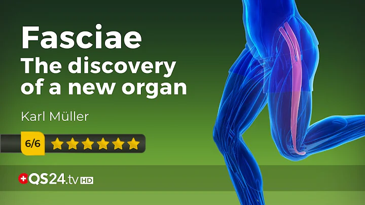 Fasciae the discovery of a new organ | Karl Mller ...