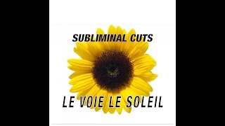 Subliminal Cuts - Le Voie Le Soleil (Piano Tutorial)