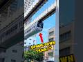 The Coolest Train You’ve Never Heard Of: Hanging Train!