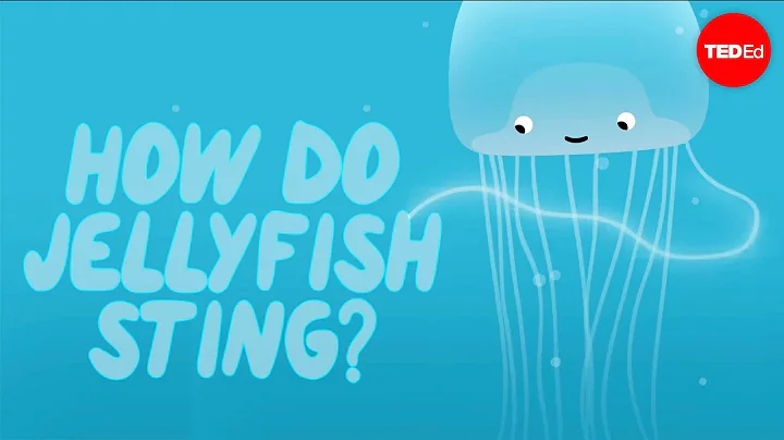 How does a jellyfish sting? - Neosha S Kashef - DayDayNews