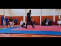 torneo AGF 2024 ARICA#jiujitsu #artesuave #brasiljiujitsu