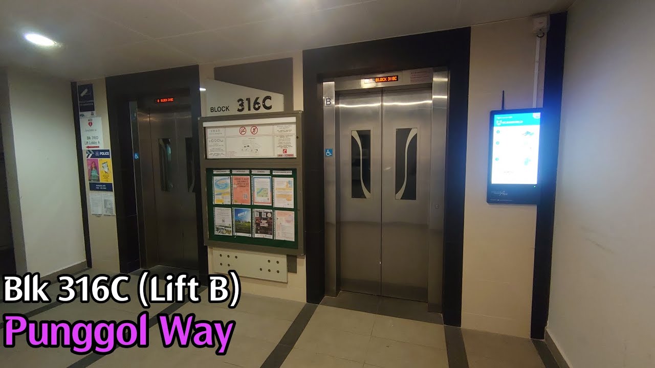 Blk 316C Punggol - 2015 Sigma Elevator [Lift B] - YouTube