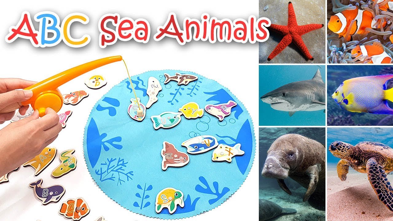 ABC Sea Animal, Learn Alphabet A to Z Ocean Creatures with