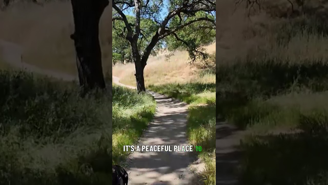 This Open Space is one our Absolute Favorites! 