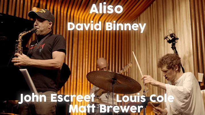 David Binney - Aliso (feat. John Escreet, Louis Co...