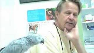 Broadway Animal Hospital