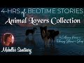 4 hrs cozy bedtime stories for grownups  animal lovers collection  relaxing pet stories for sleep