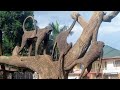 Nkima Clan Anthem Oluyimba Lw Ekika Kye Nkima Nkima Clan Anthem Oluyimba Lw Ekika Kye Nkima