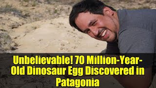 Unbelievable! 70 Million-Year-Old Dinosaur Egg Discovered in Patagonia