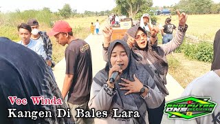 ANDI PUTRA 1 Kangen Di Bales Lara Voc Winda Live Bogor Kroya Tgl 15 Agustus 2023