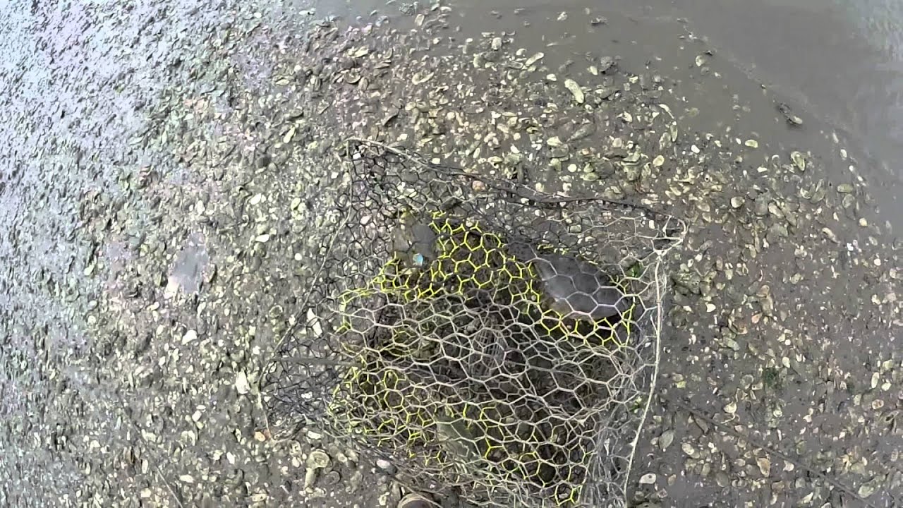 Easiest Way To Catch A Flounder In The Lowcountry Beaufort Sc YouTube
