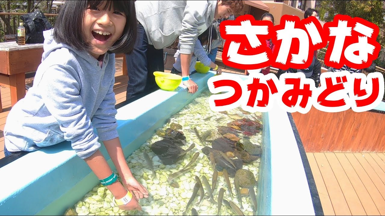 ネスタリゾートでレジャー三昧☆ふれあい動物・ニジマスつかみ取り・バギーに挑戦☆2019春休み♪平成最後の家族旅行2日目♡himawari-CH