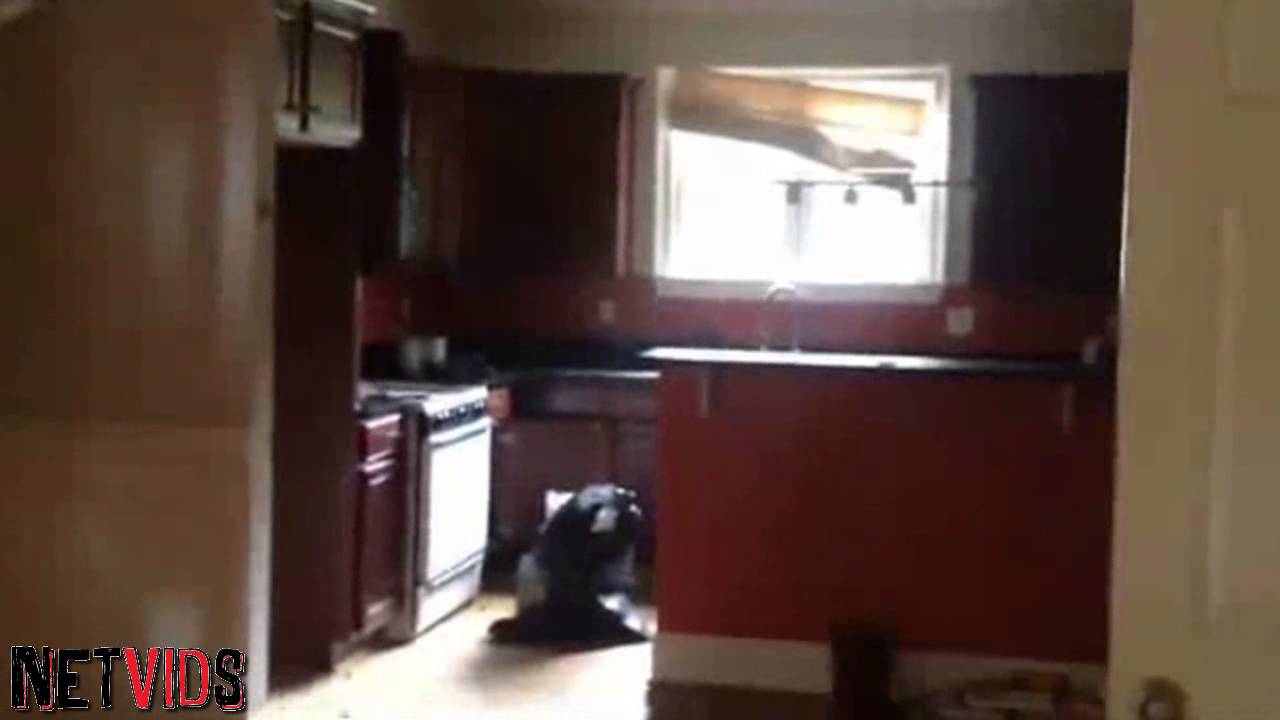 Every Landlord's Worst Nightmare | Section 8