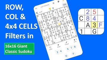 What are filters in 16x16 Giant Classic Sudoku by GujMCQ Developers