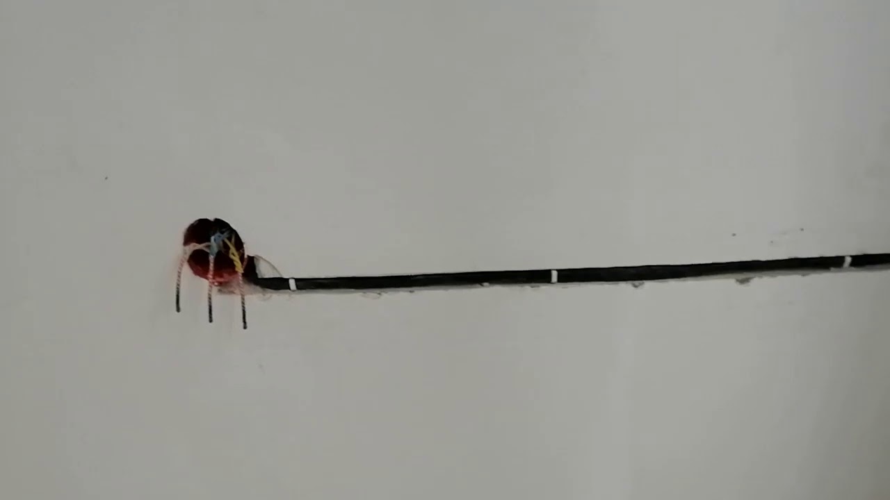 Перенос розетки - YouTube