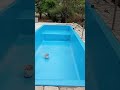 Realização de um sonho tour pela chácara mais reforma da piscina.