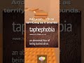 More phobias you can have #rant #roblox #curiosity #viral #motivation #facts