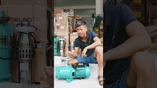 máy bơm đầu lợn taifu 1.5kw