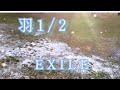 EXILE/羽1/2/歌詞入り