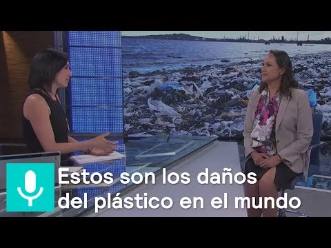 Estos son los daños del plástico en el medio ambiente - Noticias con Karla Iberia